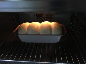 超软淡奶面包【凯度蒸烤箱、蒸烤一体机版】的做法 步骤5