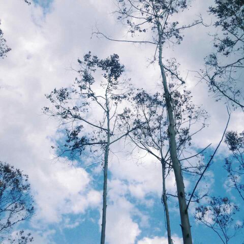 手机用户2264_05i2