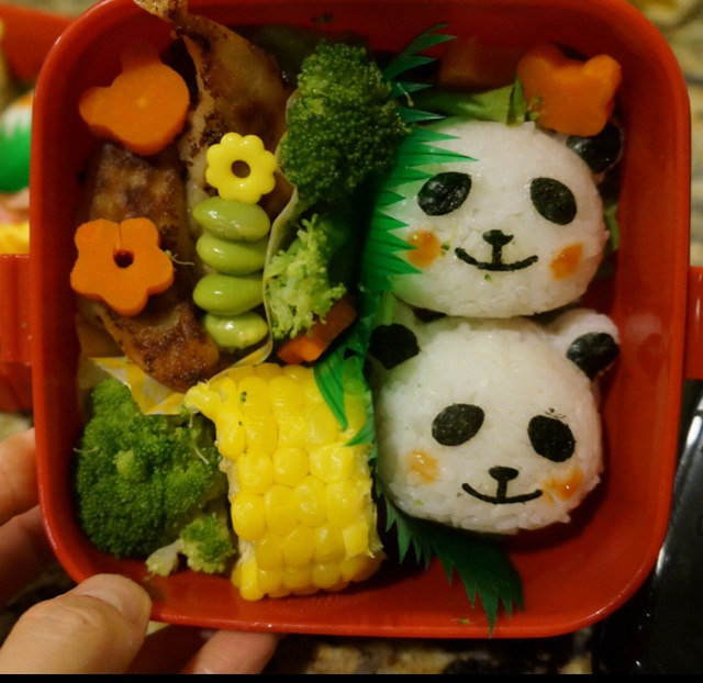 熊猫饭团便当