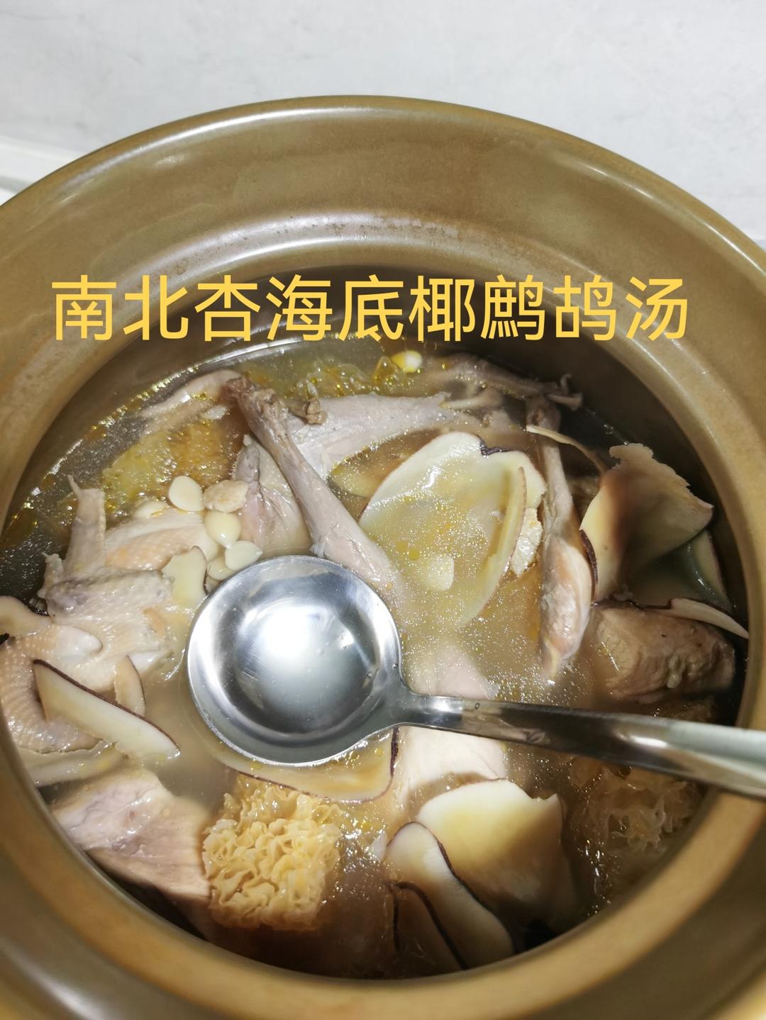 【小森妈妈菜谱】秋季靓汤-润肺止咳南北杏海底椰煲鹧鸪