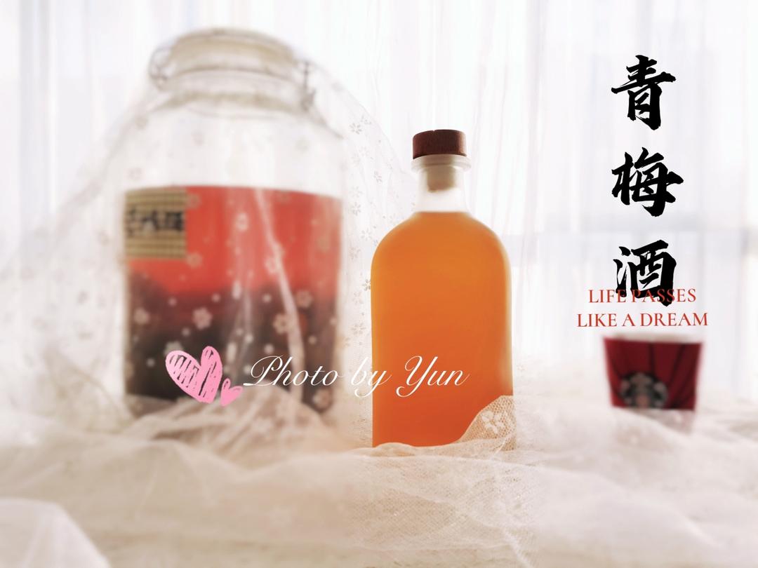 自酿超好喝的青梅酒/梅子酒