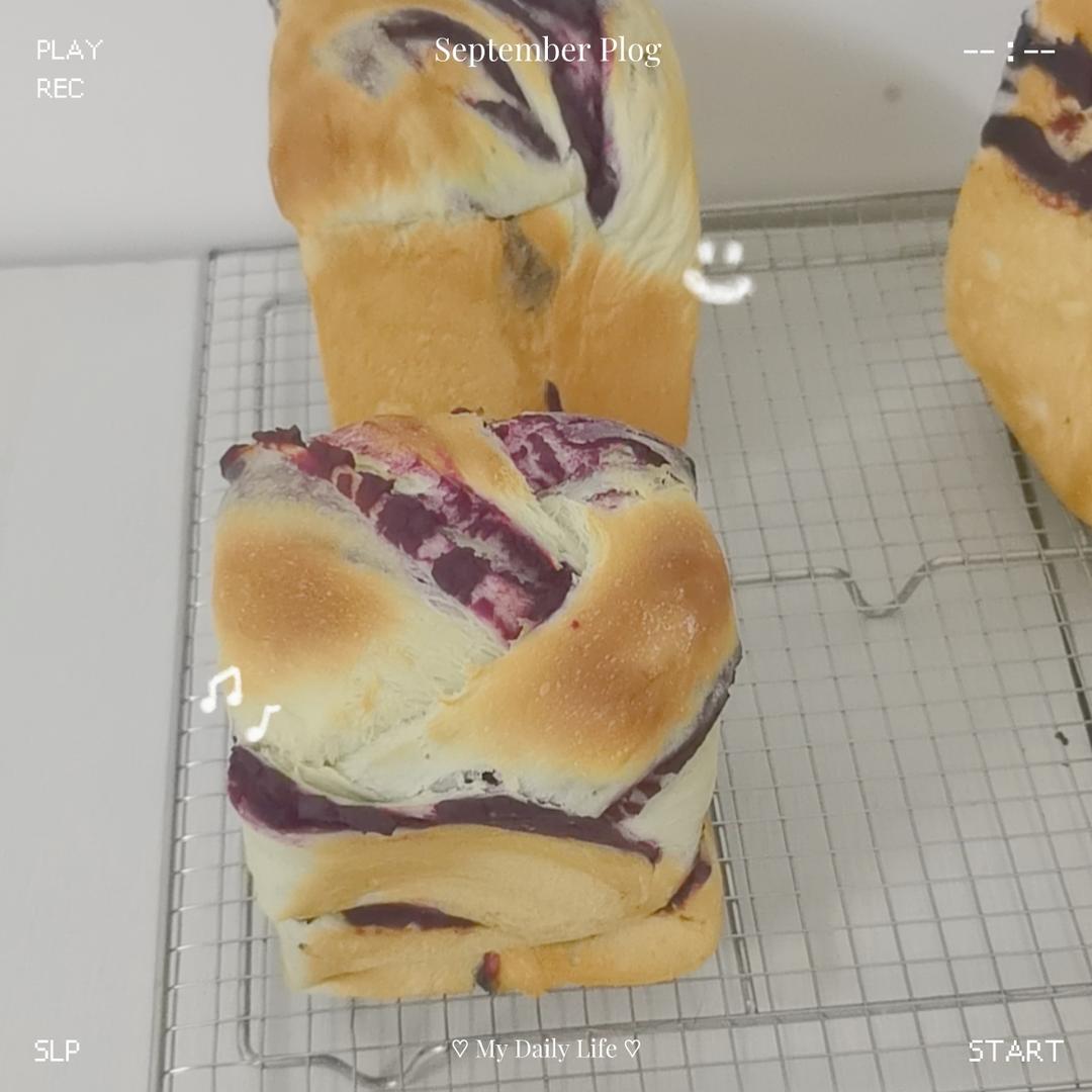 鲜奶紫薯吐司