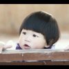 极乐鸟_36iq