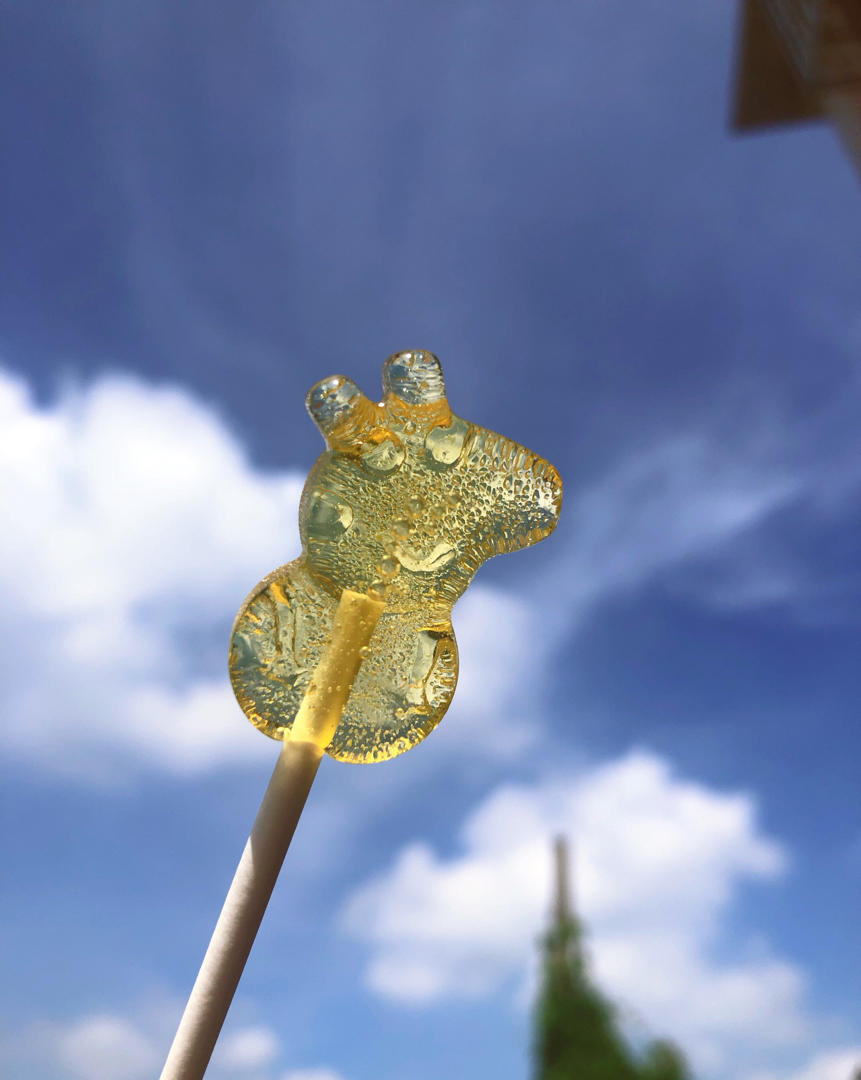 水果棒棒糖