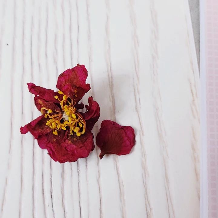 空气炸锅干花