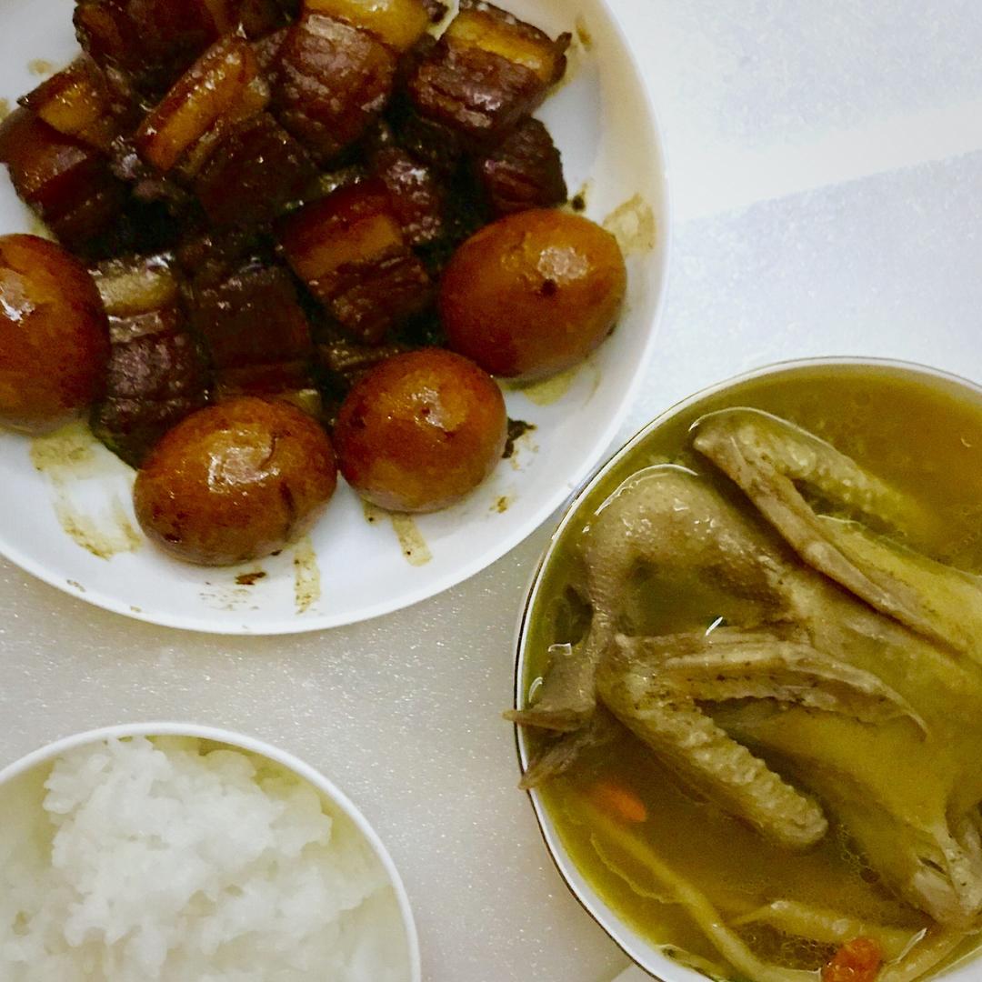 金猫咪食堂-滋补乳鸽汤