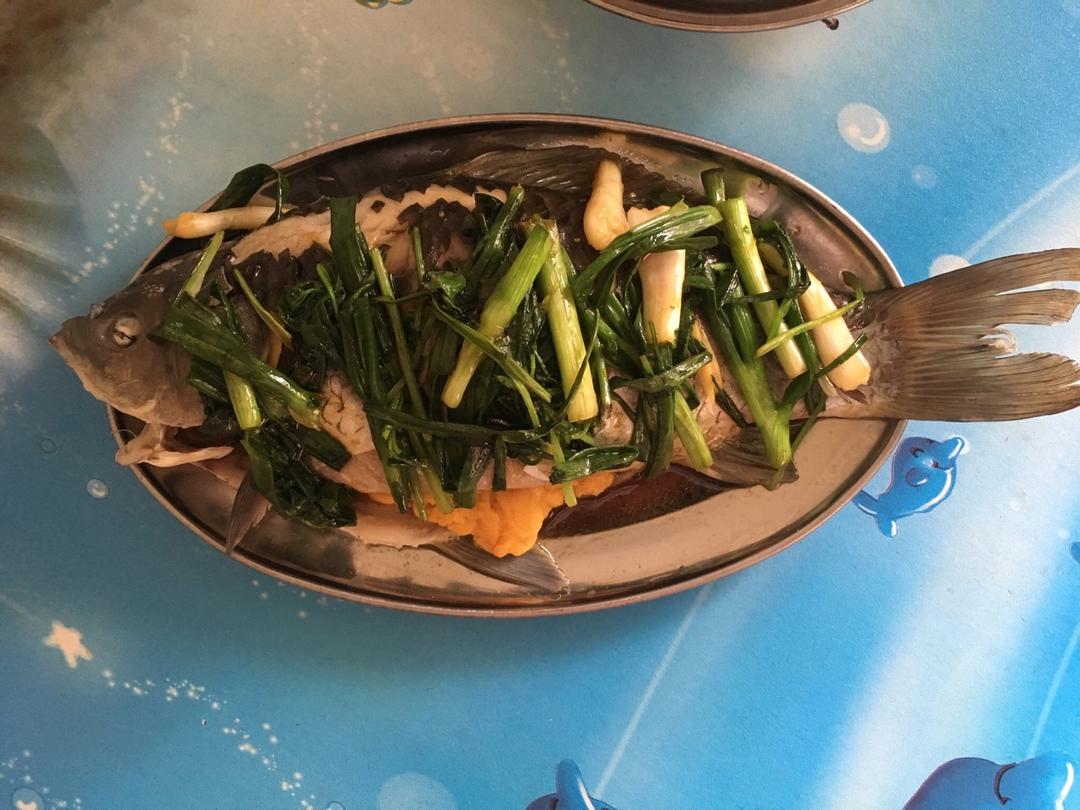 清蒸鱼/适用于各种鱼🐠（年夜饭必备硬菜）@Makin-