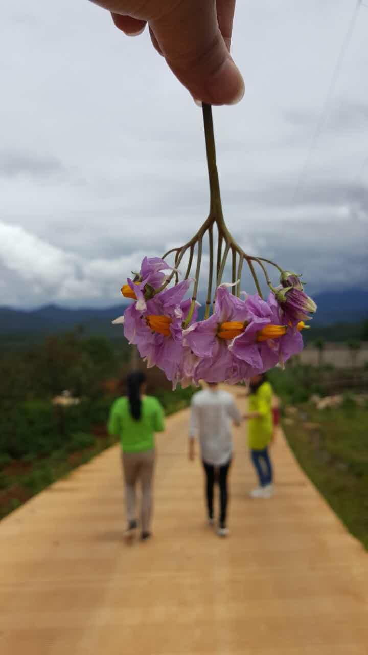 王医的厨房