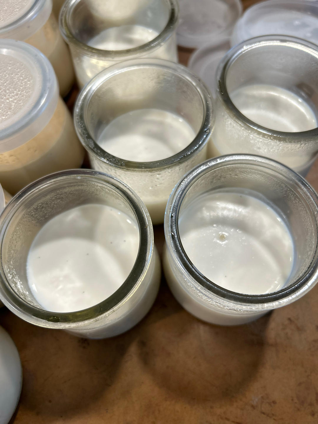 Your Grace的Panna Cotta