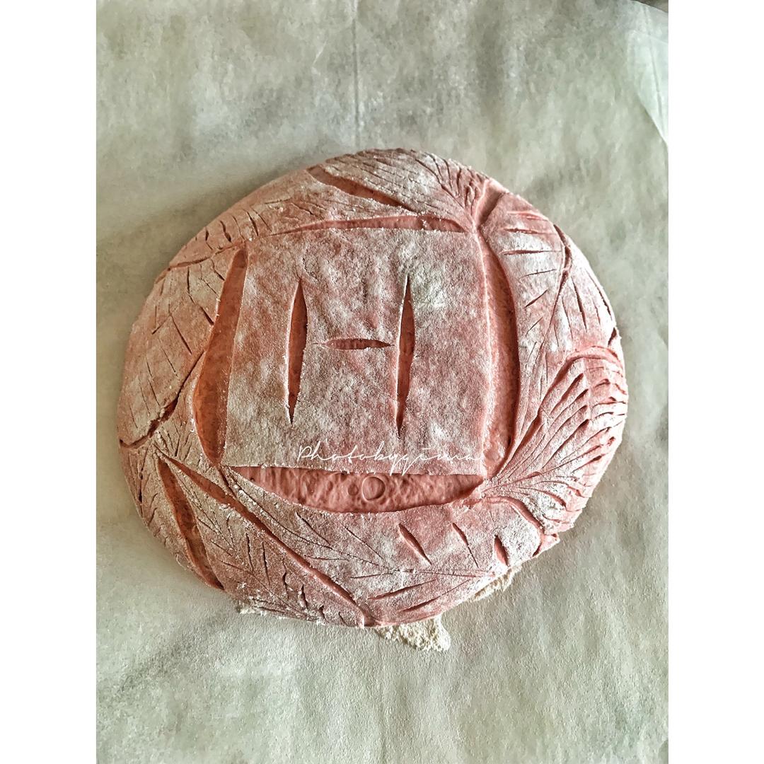 我的欧包割包视频