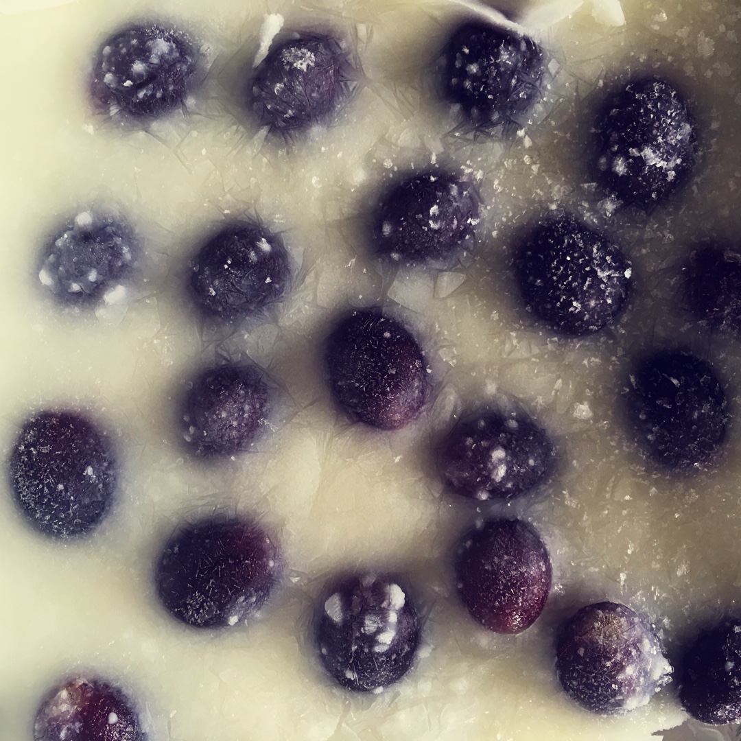 酸奶水果薄脆Yogurt Fruits Bar