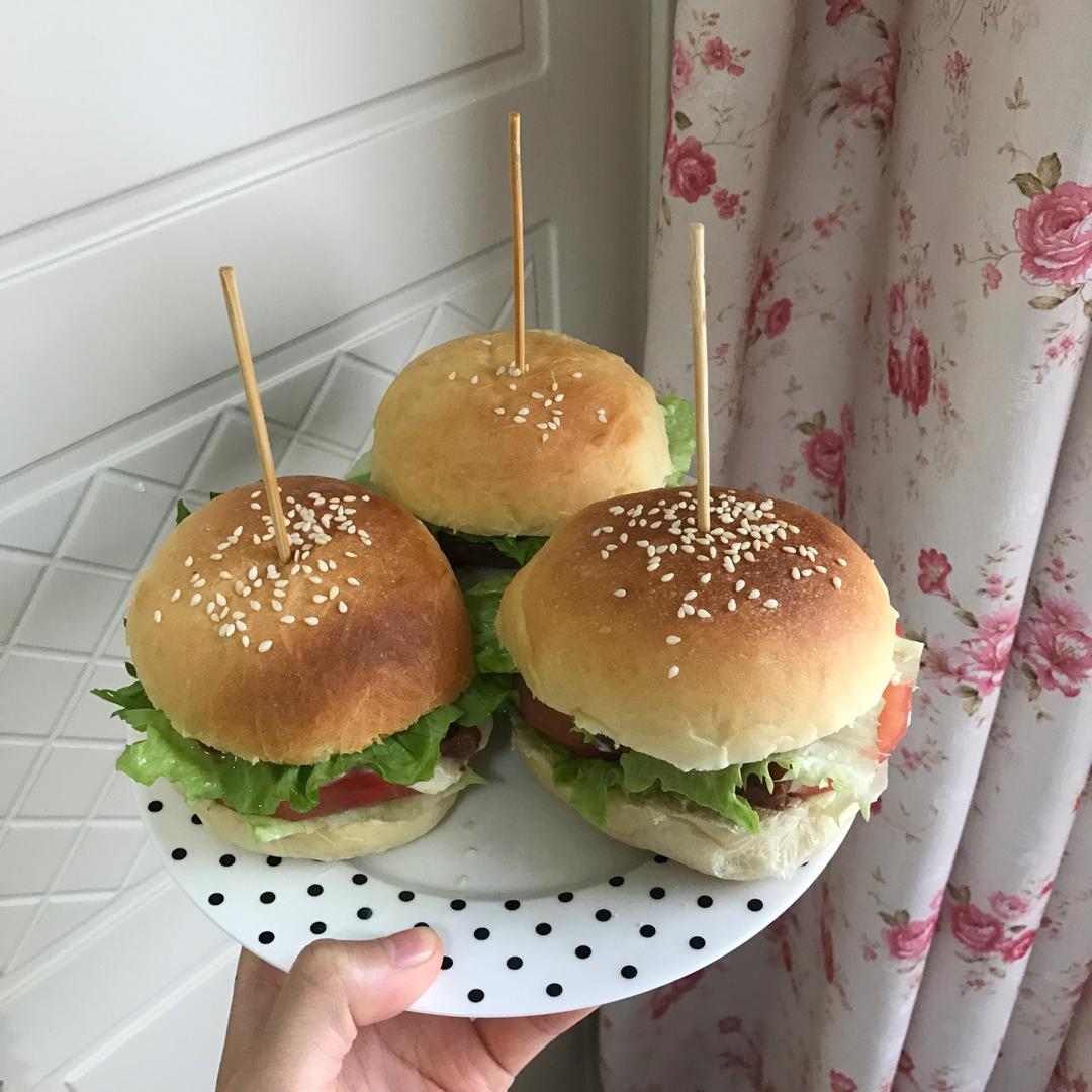 汉堡胚 poolish（波兰种）