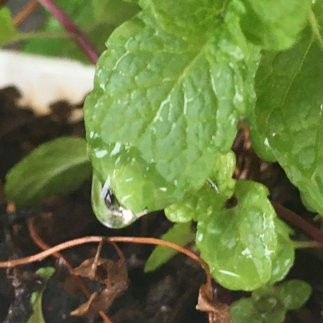 永不落幕的星辰