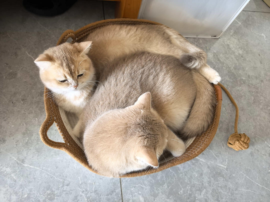 给家人做饭的幸福