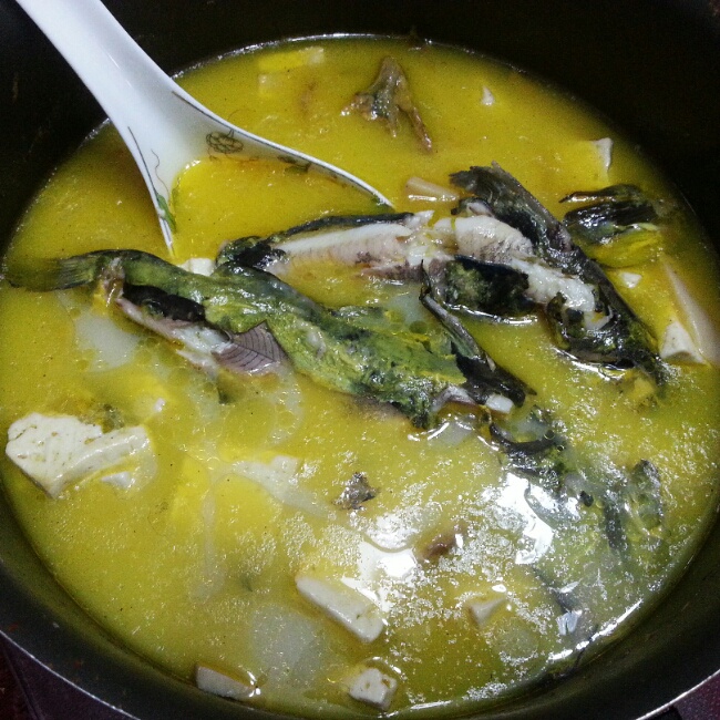 一只猫猫兔做的黄颡鱼汤(黄腊丁,昂公鱼)