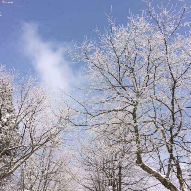 手机用户8375_g081