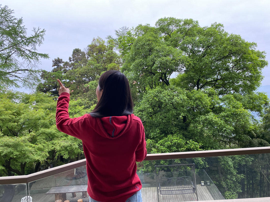 人在旅途