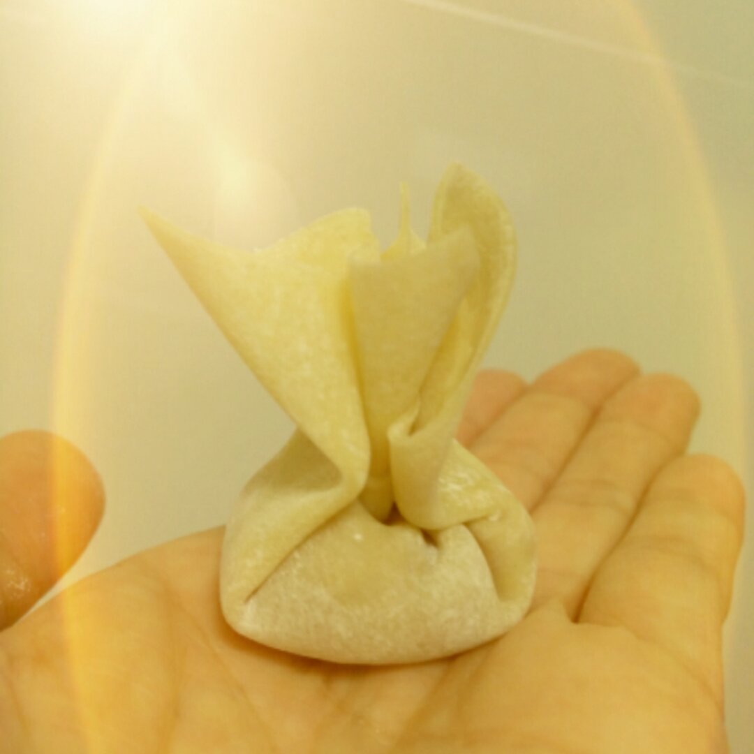 小馄饨的包法