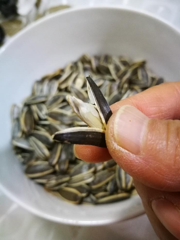一起用餐吧——微波炉瓜子的做法