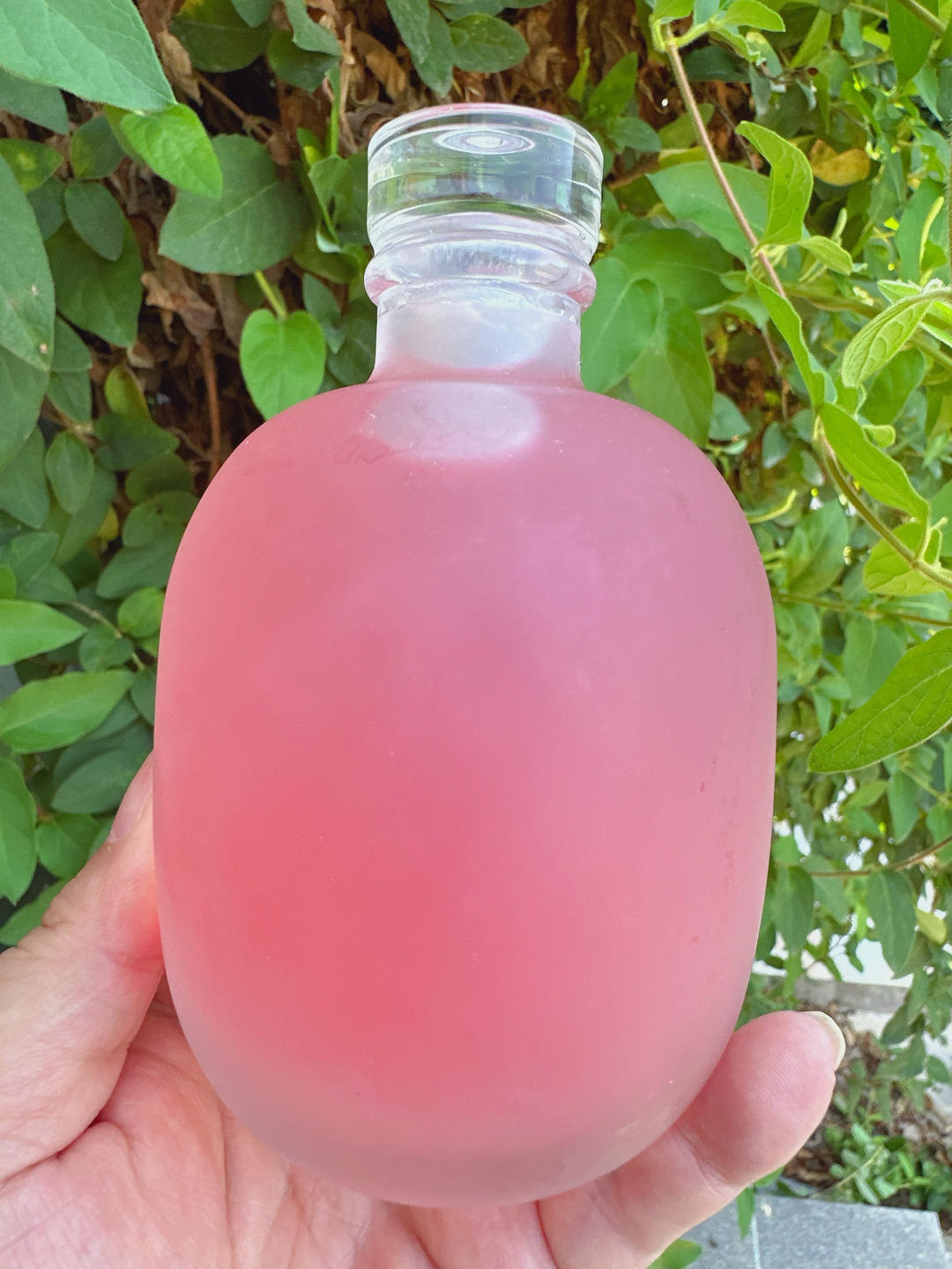 玫瑰花米酒🌹微醺胜买醉