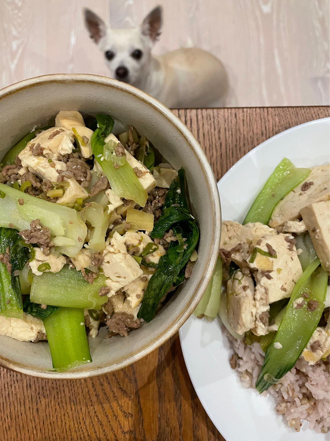 好吃的家常青菜豆腐