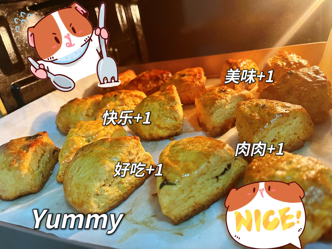 咸蛋黄肉松司康