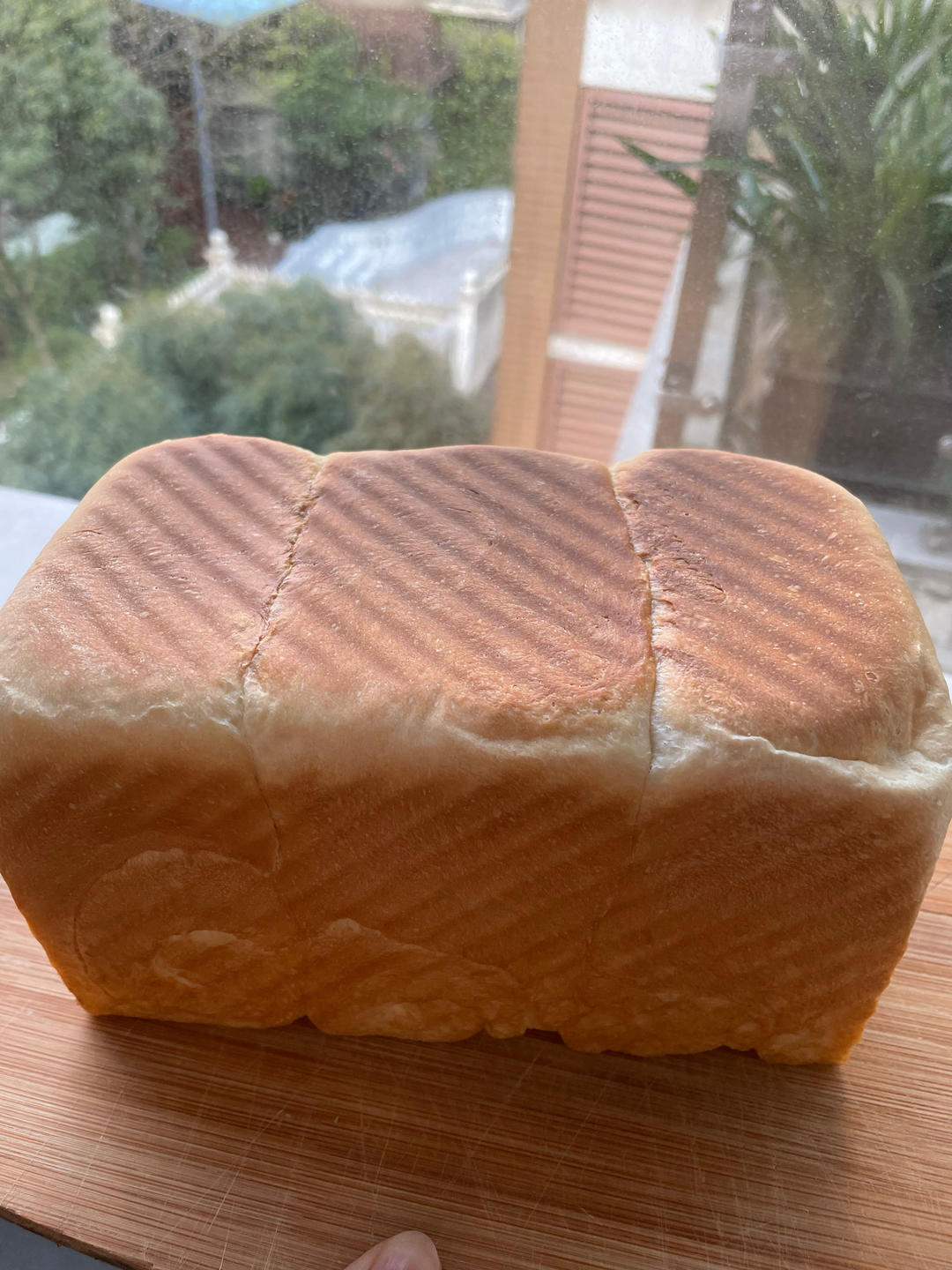 简简单单白吐司（玉米油）