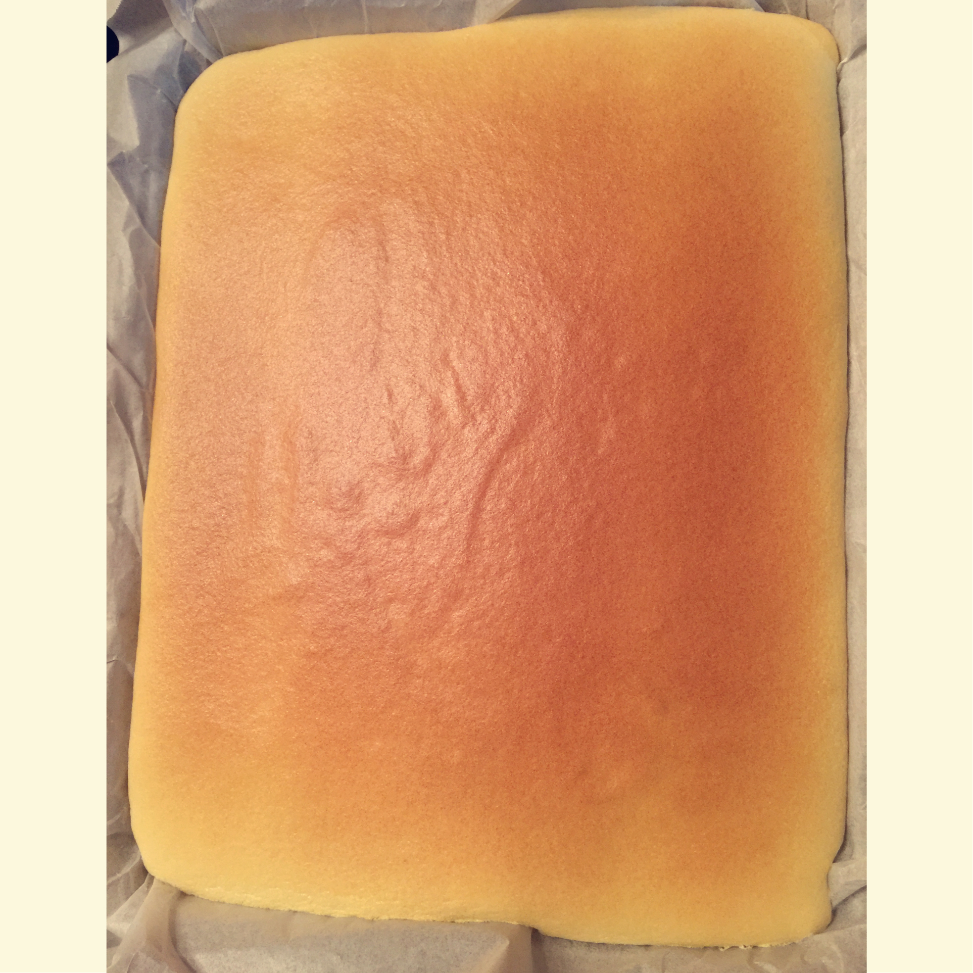 方形水果夹层蛋糕