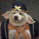 不晓得吃啥子喔