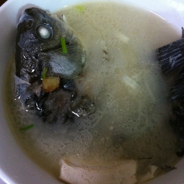 鲫鱼豆腐汤