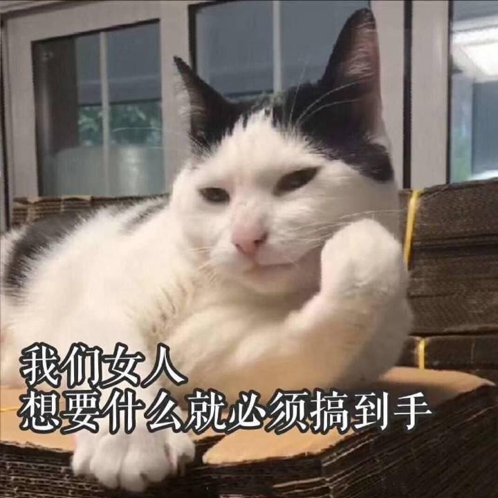 呼呼呼呼不归呀