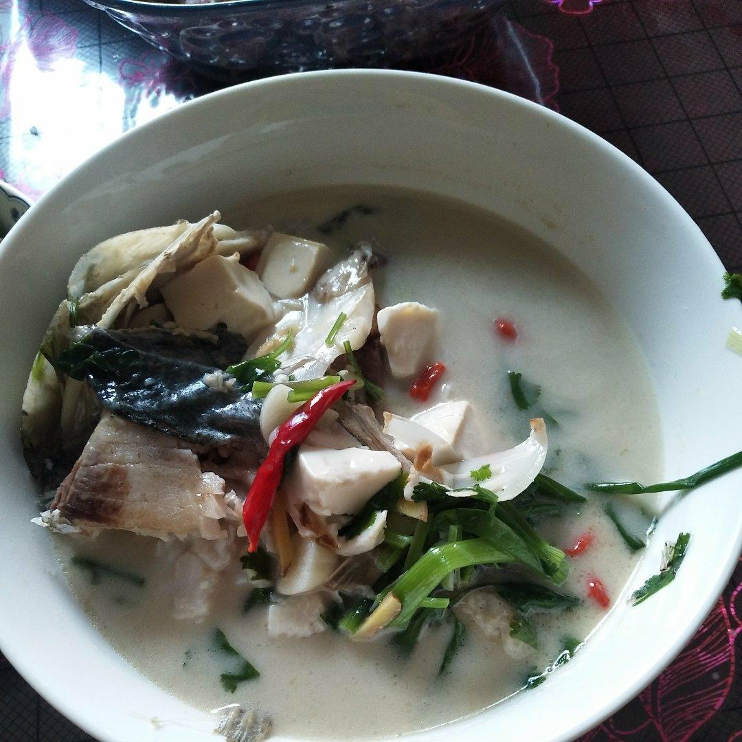 鱼头豆腐汤