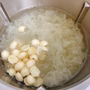 新鲜银耳莲子百合汤的做法 步骤4