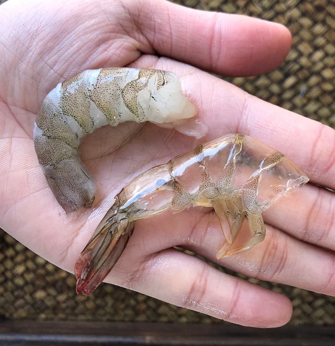 洗虾不用手！去虾线剥虾5秒1个！虾头虾壳还能做海鲜泡饭！的做法