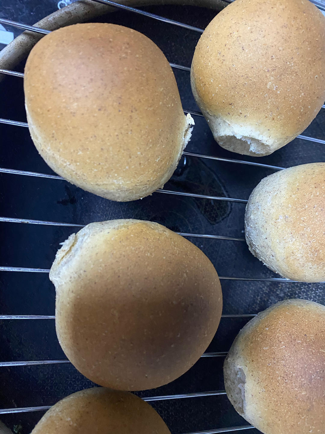 最好吃的🍔全麦汉堡坯（直接法，一发）