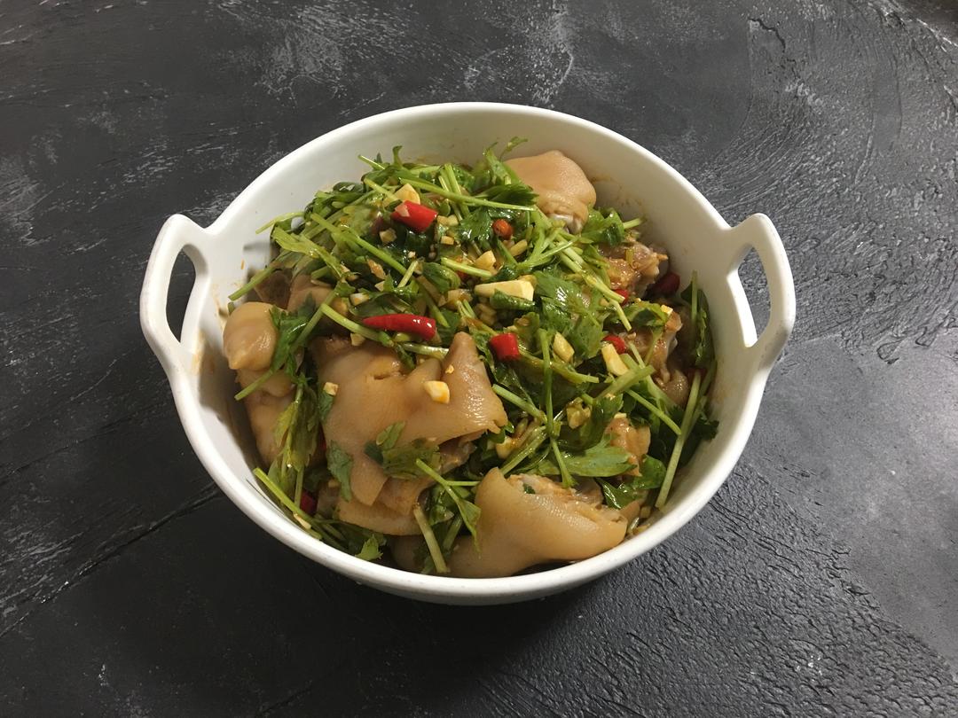 乐活教主的美食之——凉拌猪蹄/猪手的做法