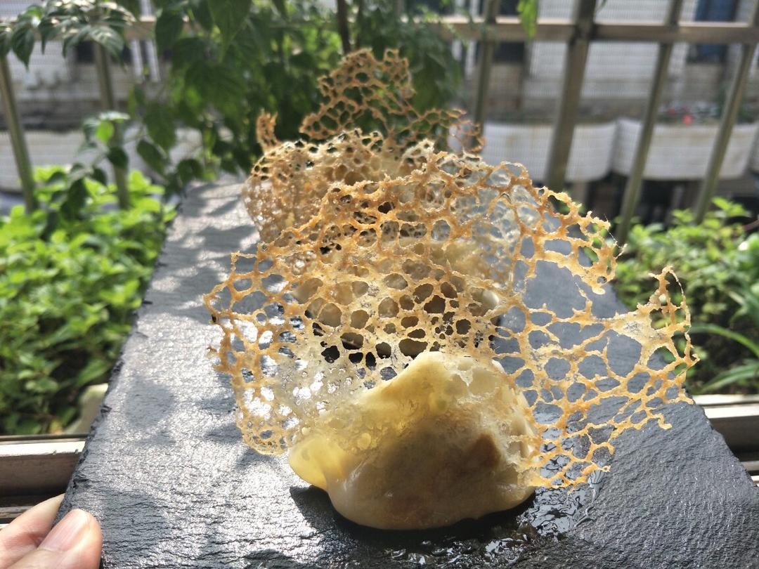 冰花蕾丝煎饺