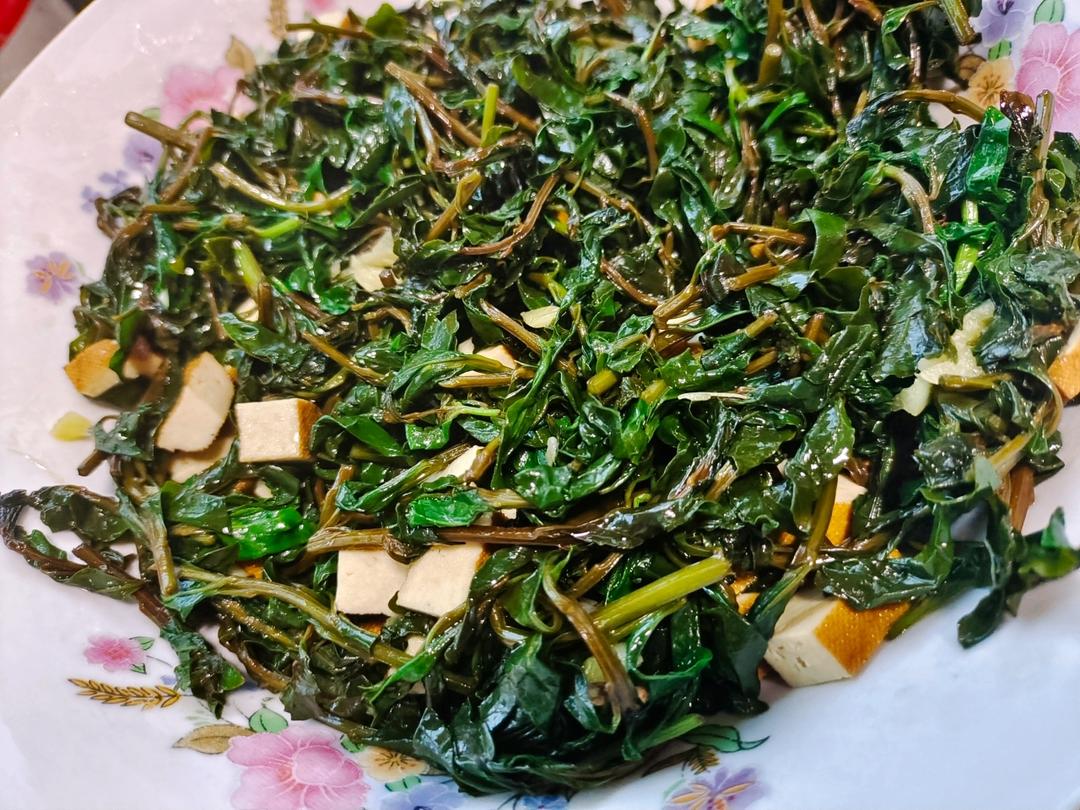 凉拌枸杞头