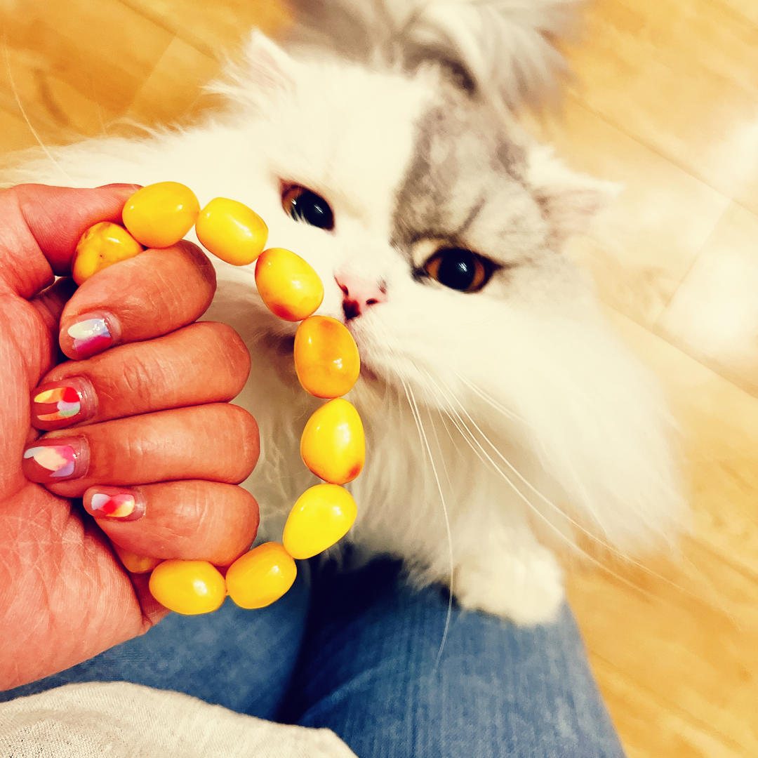 moonimooni