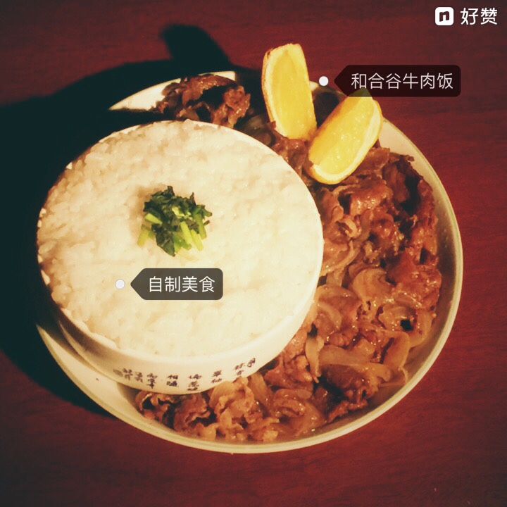 吉野家牛肉饭（牛丼）