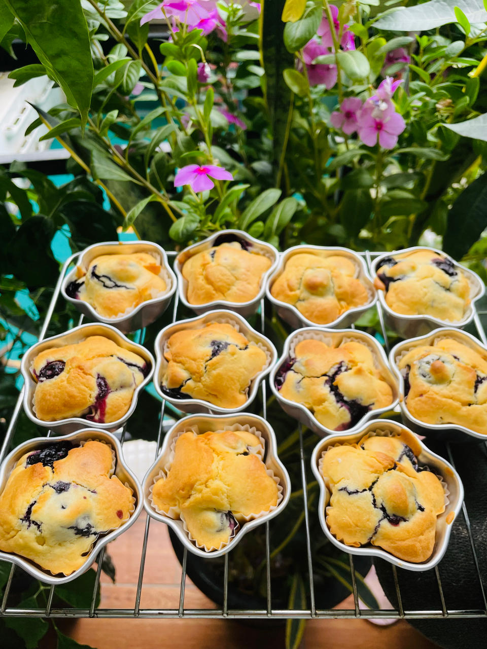 【爆浆蓝莓玛芬蛋糕】搅和几下就爆浆了～Blueberry Muffins～ | Q BAKE