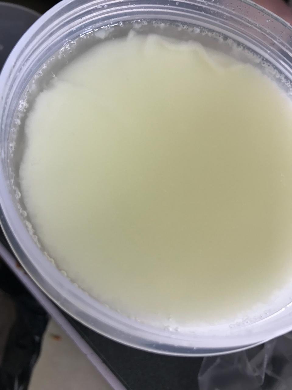 脱脂奶粉做酸奶(养生壶版)