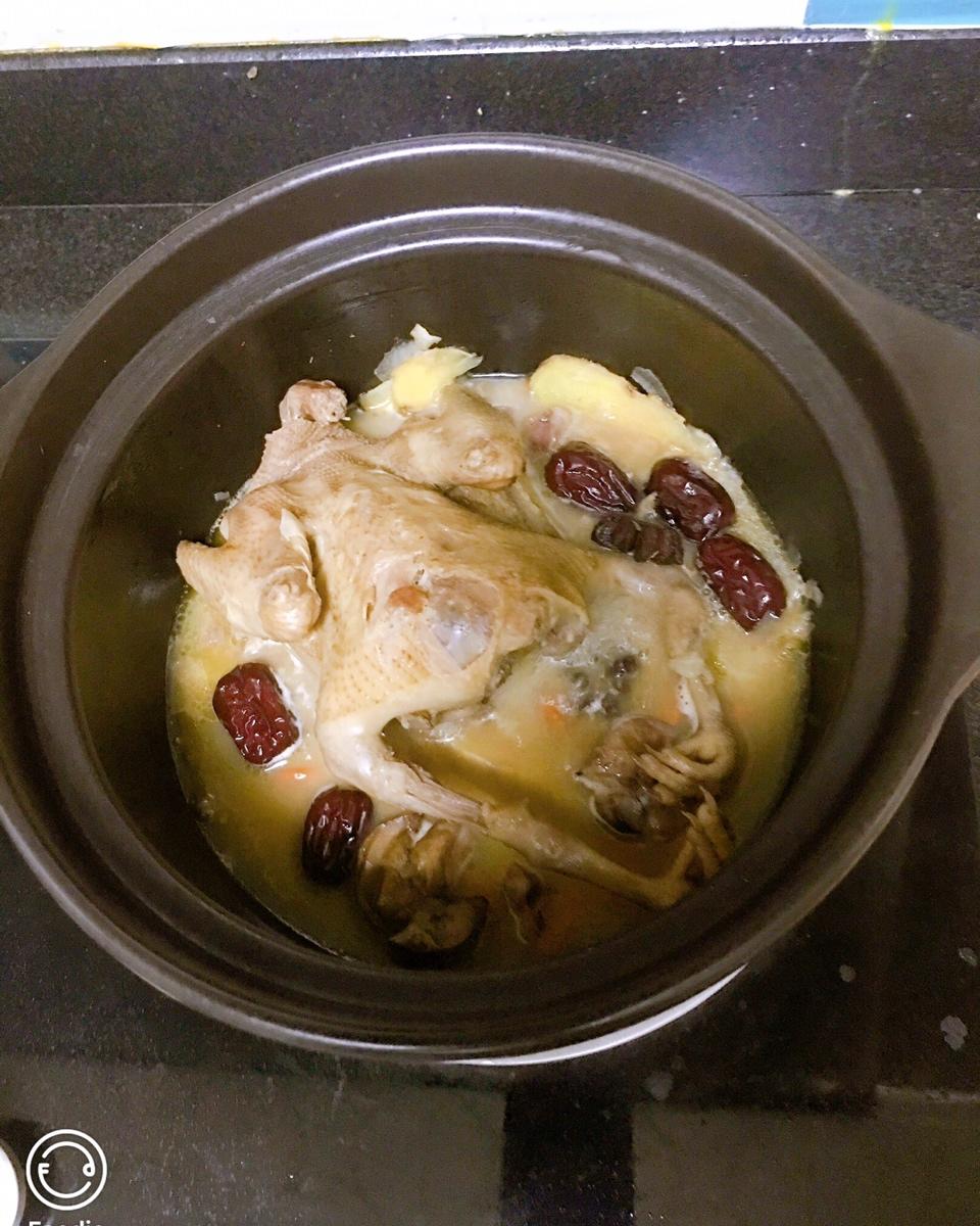 红枣枸杞乳鸽汤