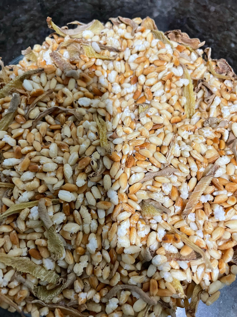 姜炒米茶(减脂.消食)