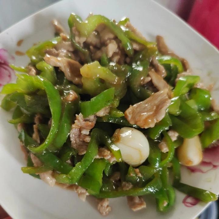 ‼️好吃到舔盘的青椒肉丝盖浇饭