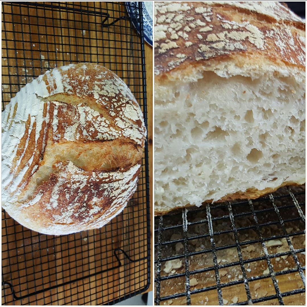 欧包/乡村面包-无油不用揉 No Knead Bread