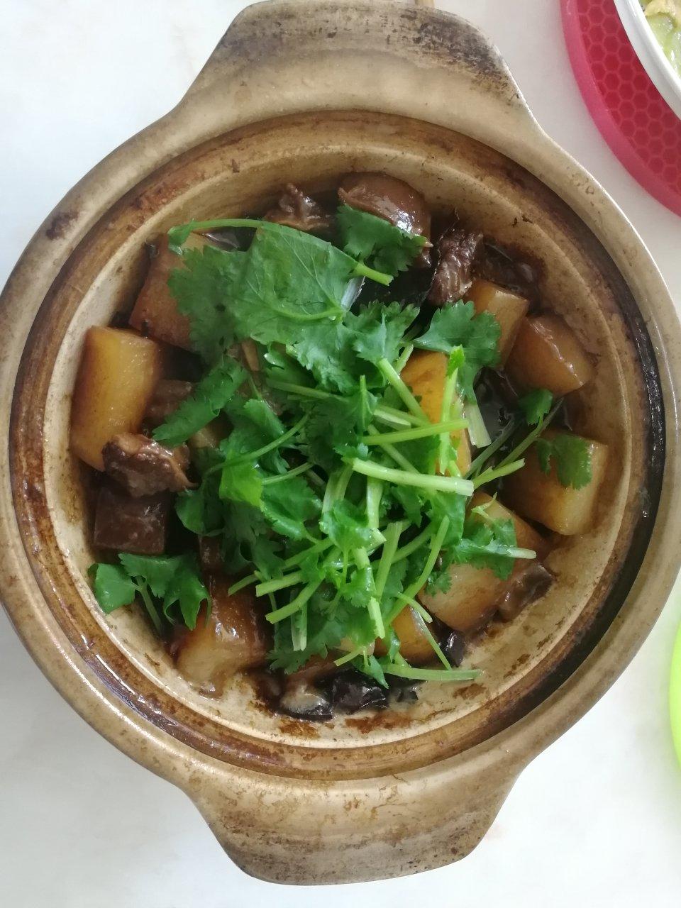 红烧羊肉萝卜煲