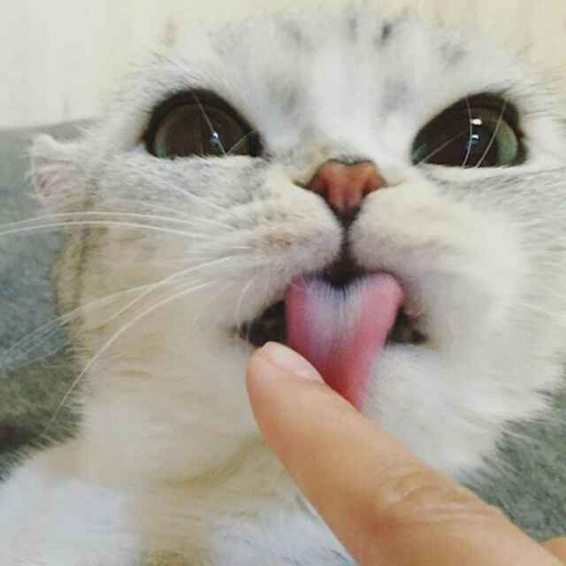 瑶啊瑶啊111