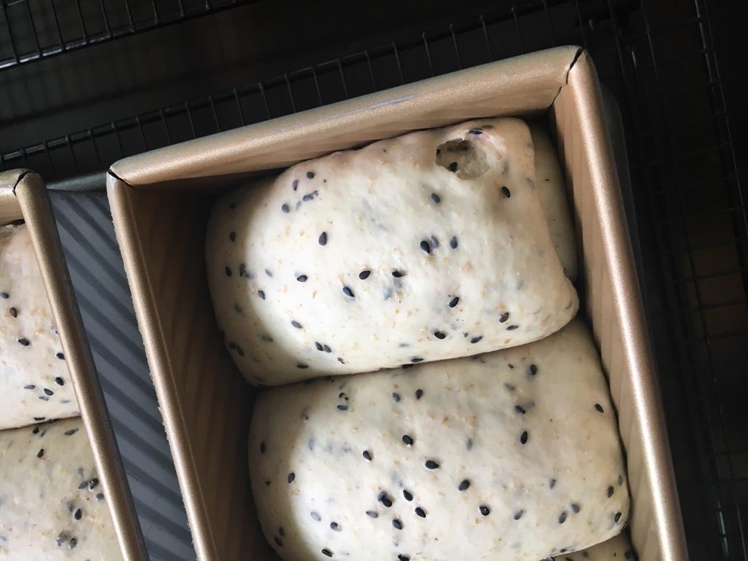 我的100个吐司练习