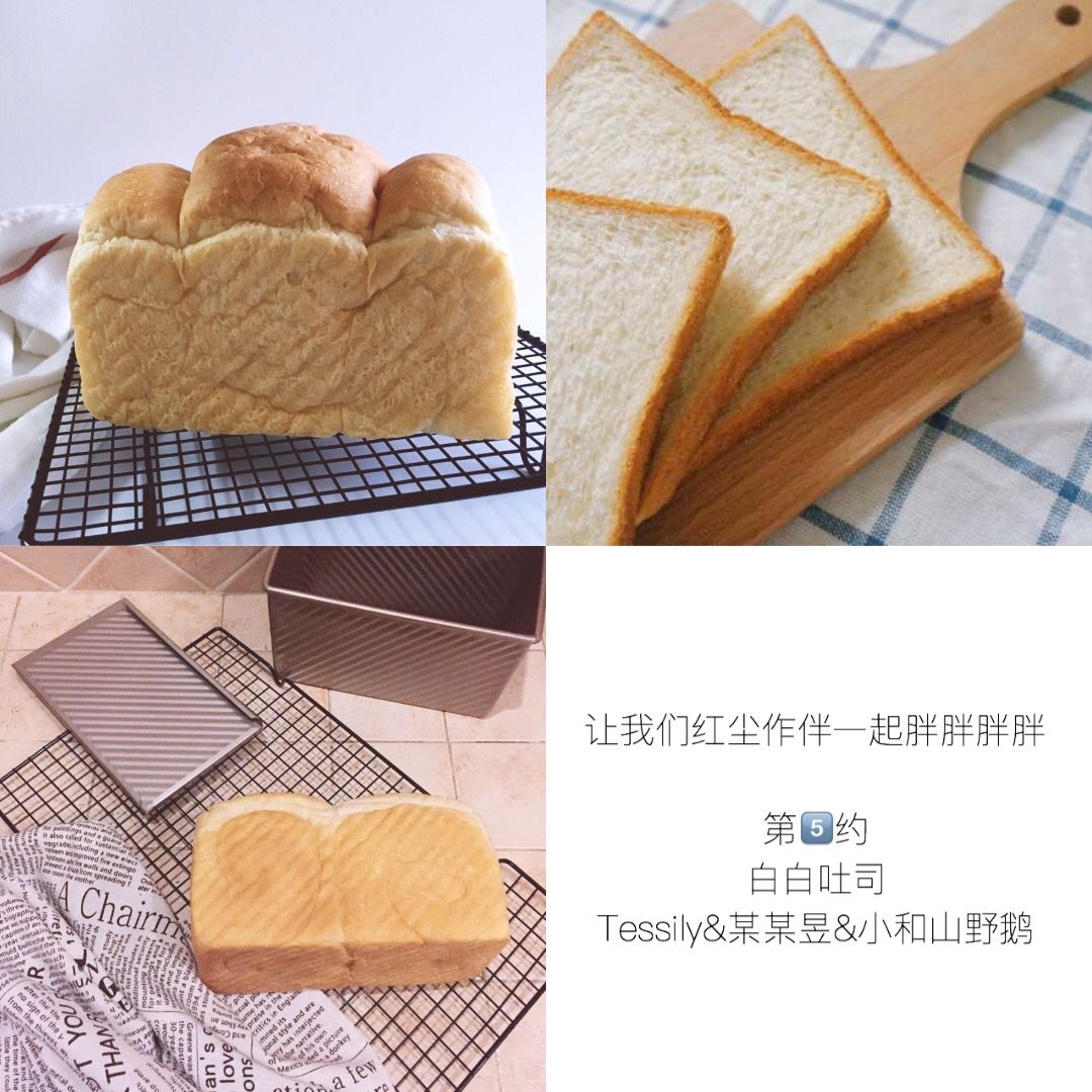 让我们红尘作伴一起胖胖胖胖！🙌🏻